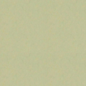 撮影背景紙バックペーパー　トロピカルグリーン　1.35×5.5m
